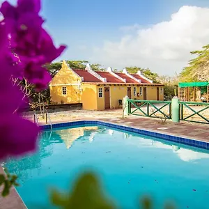 Daniel - Plantation House 3* Tera Kora